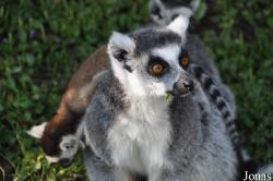 Aqua Zoo Friesland
