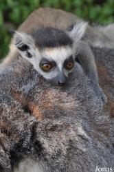Aqua Zoo Friesland
