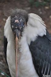 Aqua Zoo Friesland