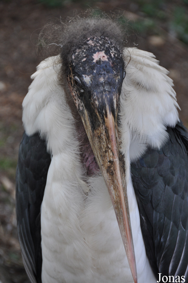 Aqua Zoo Friesland