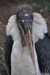 Aqua Zoo Friesland