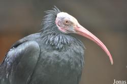 Tierpark Perleberg