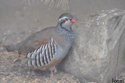 Tierpark Perleberg