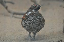 Tierpark Perleberg