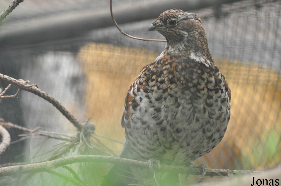 Tierpark Perleberg