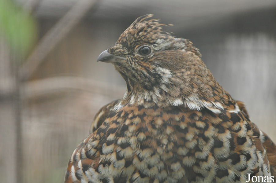 Tierpark Perleberg