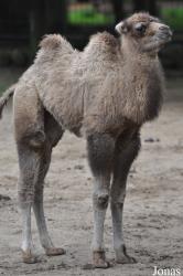Tierpark Perleberg