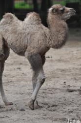 Tierpark Perleberg