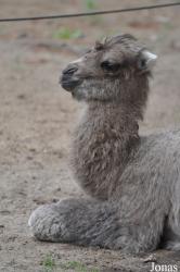 Tierpark Perleberg