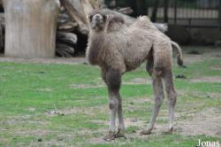 Tierpark Perleberg