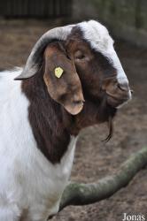 Tierpark Perleberg