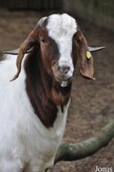 Tierpark Perleberg