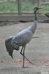 Tierpark Perleberg