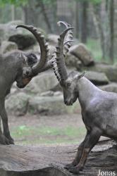 Tierpark Perleberg