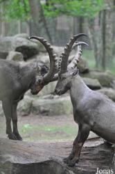 Tierpark Perleberg