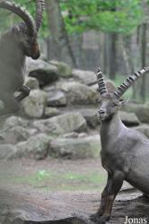 Tierpark Perleberg