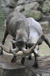 Tierpark Perleberg