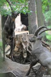 Tierpark Perleberg