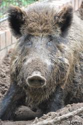 Tierpark Perleberg