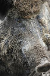 Tierpark Perleberg