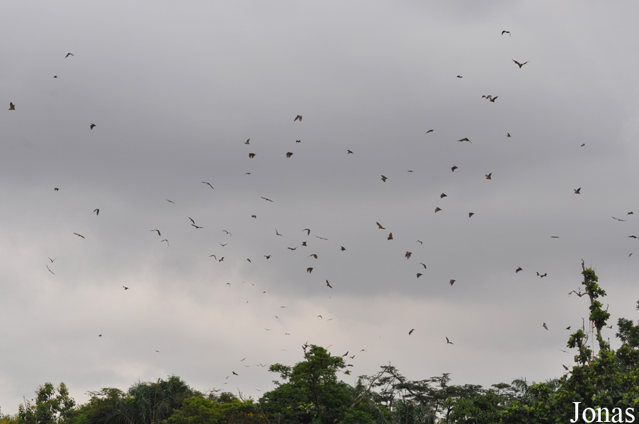 Kumasi