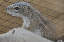 Kumasi Zoo
