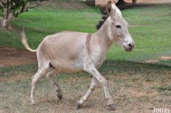 Kumasi Zoo