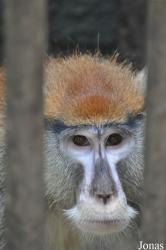 Kumasi Zoo
