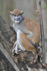 Kumasi Zoo