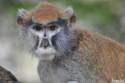 Kumasi Zoo
