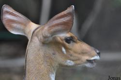 Kumasi Zoo