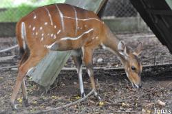 Kumasi Zoo