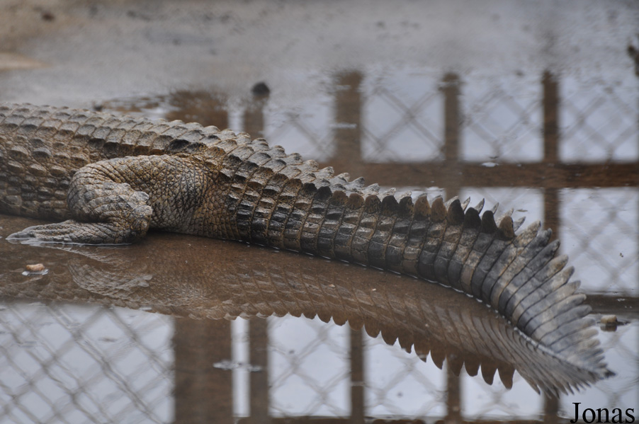Kumasi Zoo