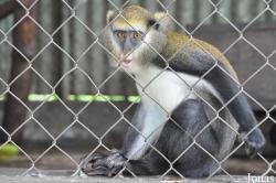 Kumasi Zoo