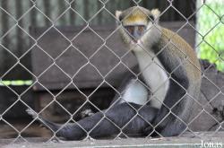 Kumasi Zoo