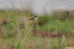 Owabi Wildlife Sanctuary
