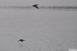 Owabi Wildlife Sanctuary
