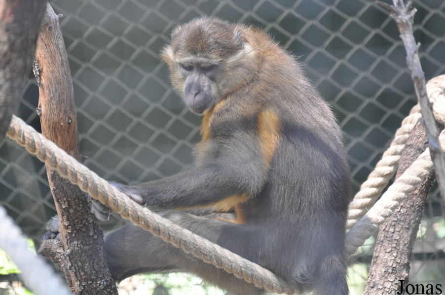 Parc Zoologique de Montpellier