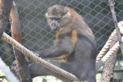 Parc Zoologique de Montpellier