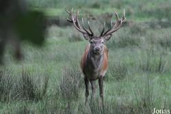 Wildpark Eekholt