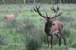 Wildpark Eekholt