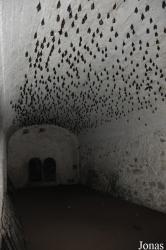 Elmina