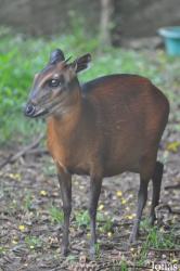Kumasi Zoo