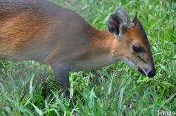 Kumasi Zoo