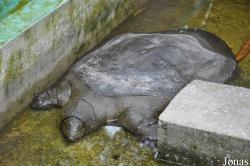 Kumasi Zoo