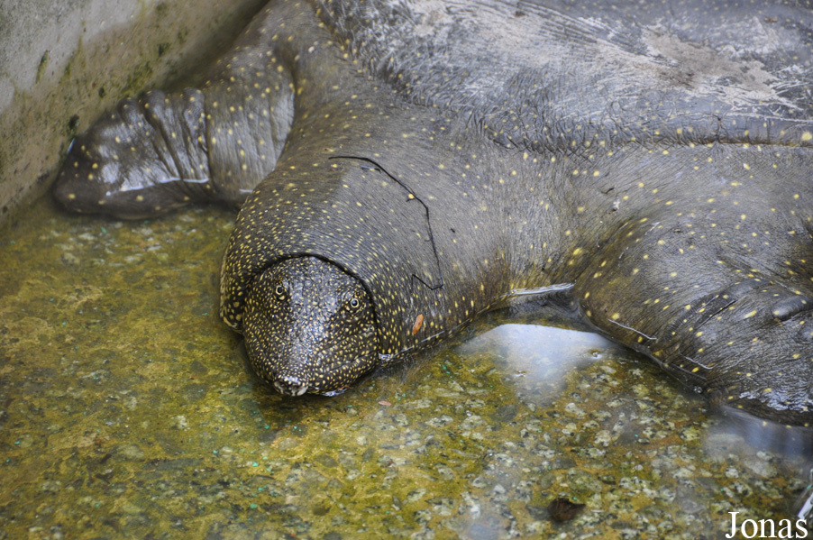 Kumasi Zoo