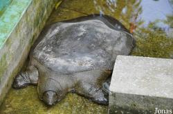 Kumasi Zoo