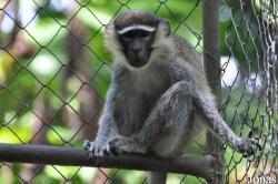 Kumasi Zoo