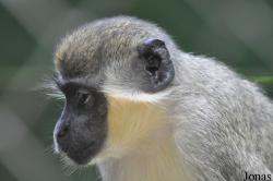 Kumasi Zoo