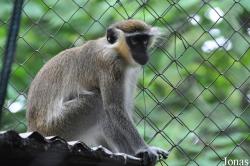 Kumasi Zoo